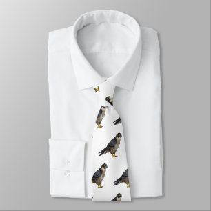 Peregrine falcon bird cartoon illustration tie