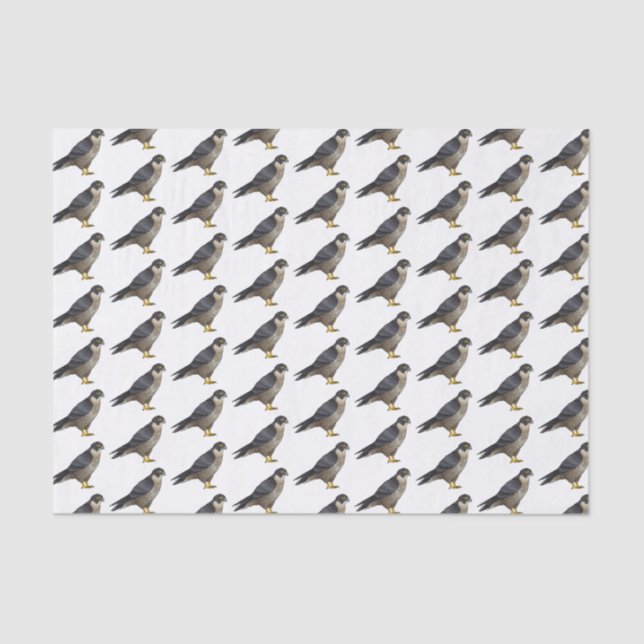 Peregrine falcon bird cartoon illustration  tissue paper (Front)