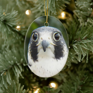 Peregrine Falcon Bird of Prey Holiday Ceramic Tree Decoration