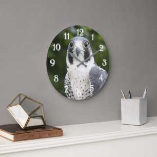 Peregrine Falcon Bird of Prey Photo Large Clock