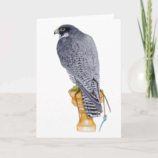 Peregrine Falcon Birthday Card (Front)