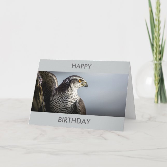 Peregrine Falcon Birthday Card (Front)