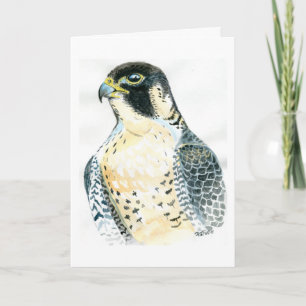 Peregrine Falcon Birthday Card