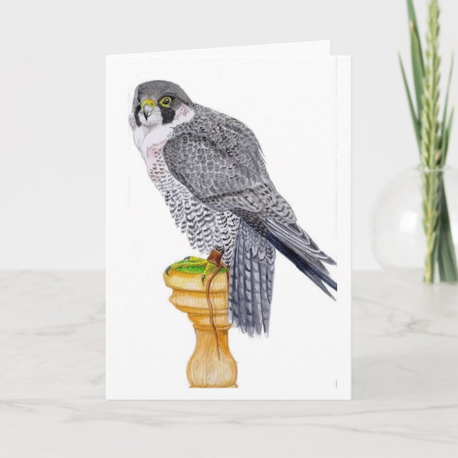 Peregrine Falcon Birthday Card (Front)