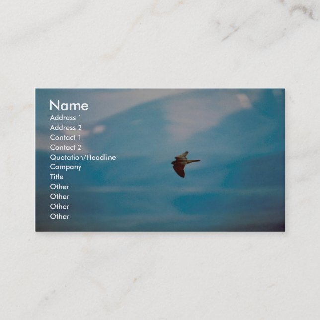 Peregrine Falcon Business Card (Front)