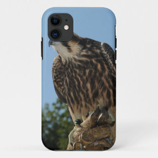 Peregrine Falcon iPhone 11 Case