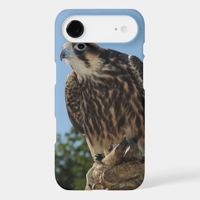 Peregrine Falcon Case-Mate iPhone Case (Back)