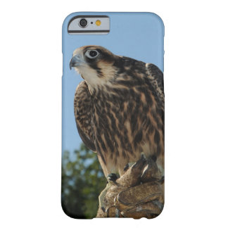 Peregrine Falcon Barely There iPhone 6 Case