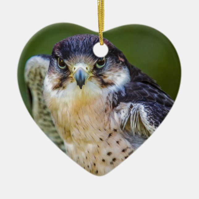 Peregrine Falcon Ceramic Ornament (Front)