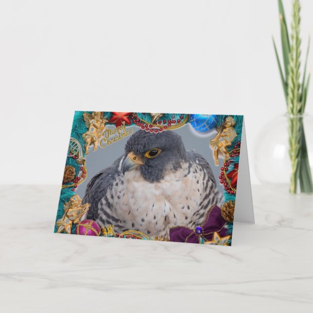 Peregrine Falcon Christmas Card (Front)