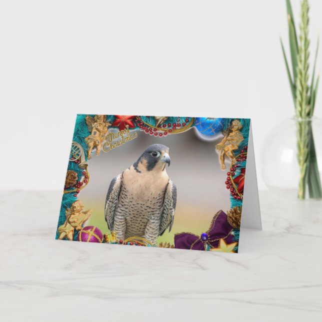 Peregrine Falcon Christmas Card (Front)