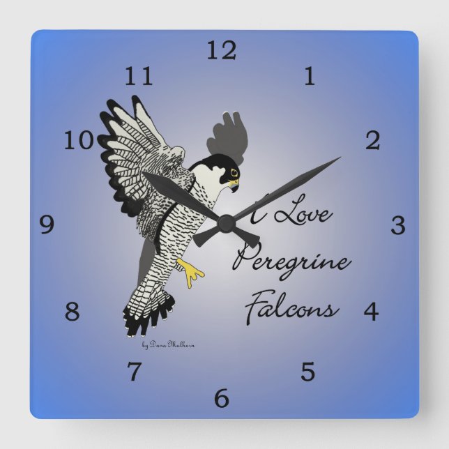 Peregrine Falcon Clock (Front)