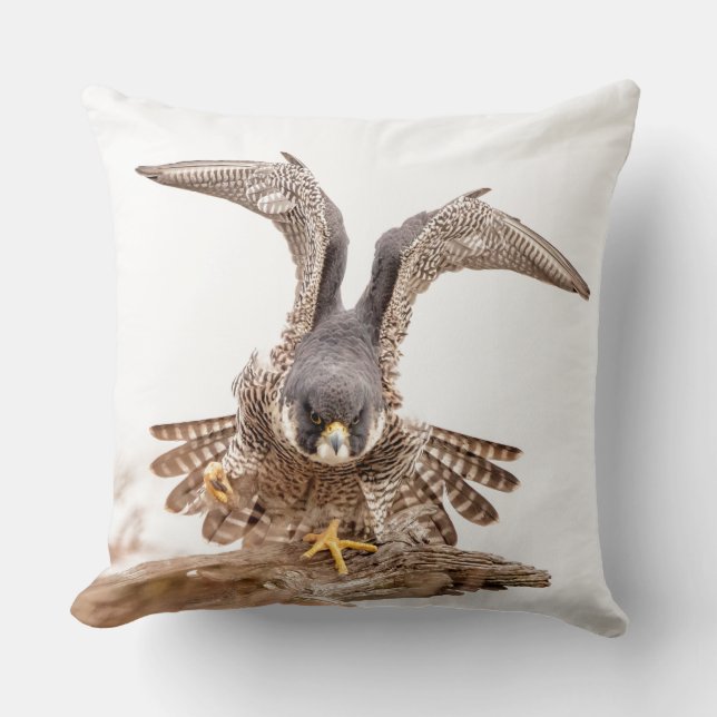 Peregrine Falcon Cushion (Front)