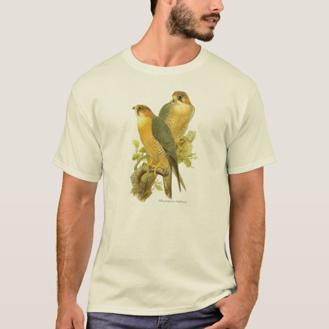 Peregrine Falcon (Falco peregrinus babylonicus) T-Shirt (Front)