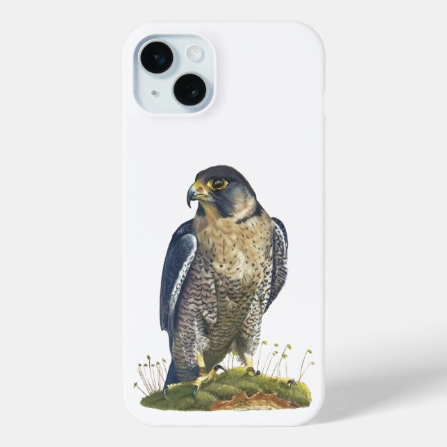 Peregrine Falcon Iphone case (Back)