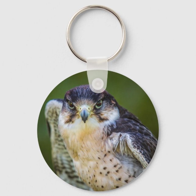 Peregrine Falcon Key Ring (Front)