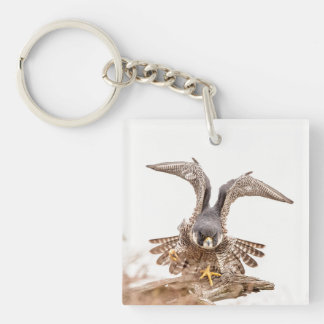Peregrine Falcon Key Ring