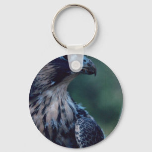 Peregrine Falcon Key Ring