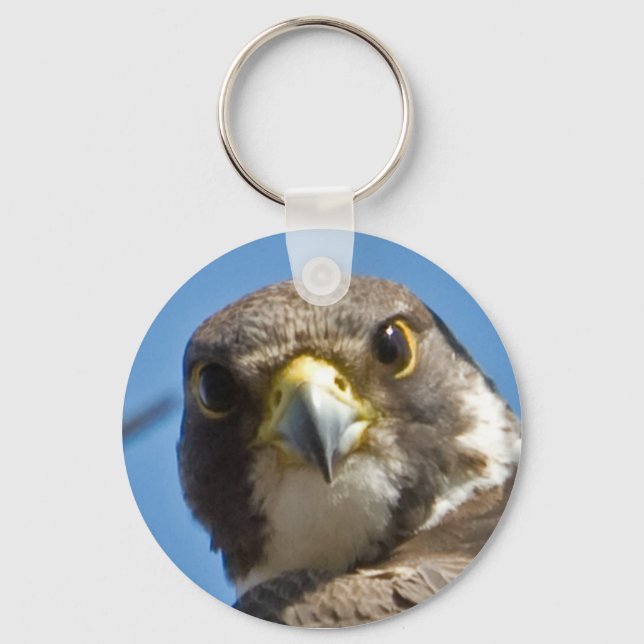 Peregrine Falcon Keychain (Front)
