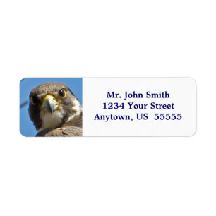 Peregrine Falcon Label Return Address Label