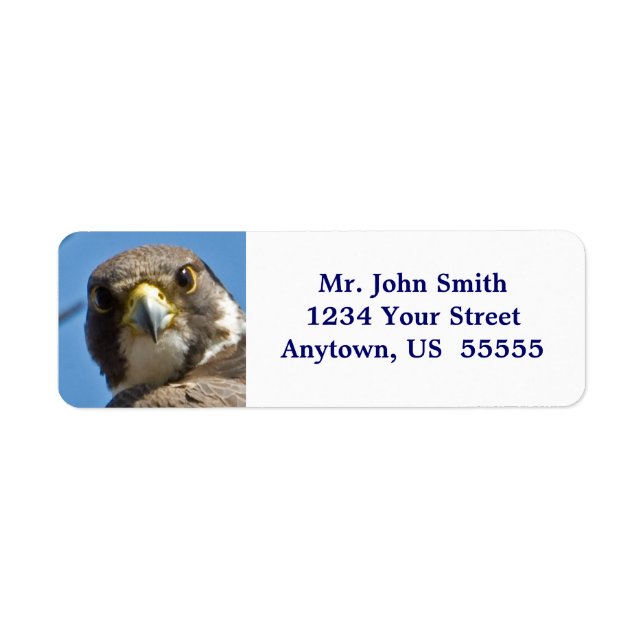 Peregrine Falcon Label Return Address Label (Front)