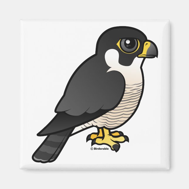 Peregrine Falcon Magnet (Front)