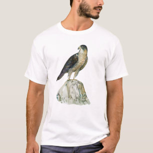 Peregrine falcon Men's T-Shirts
