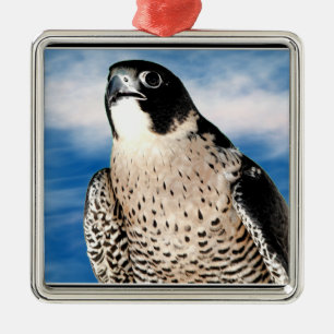 Peregrine Falcon Metal Tree Decoration