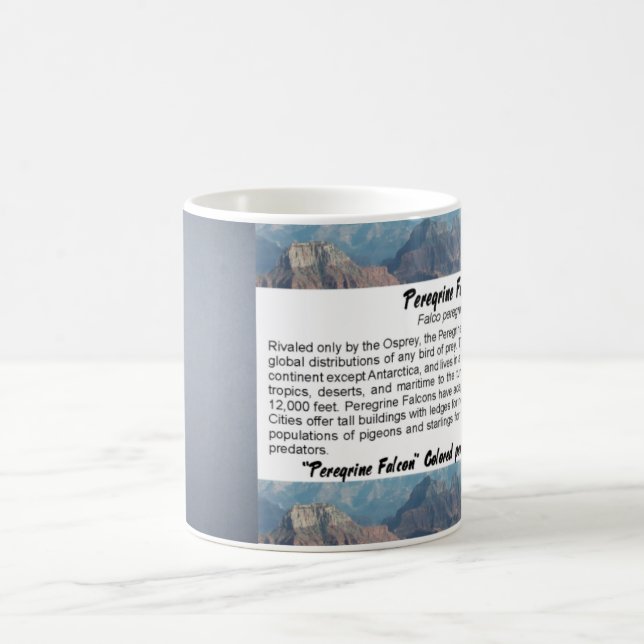 Peregrine Falcon Mug (Center)