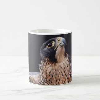 Peregrine Falcon Mug