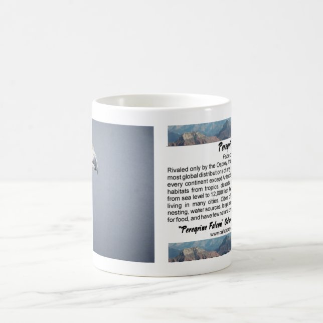 Peregrine Falcon Mug (Center)
