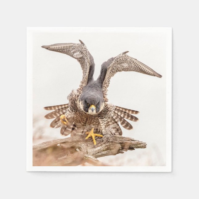 Peregrine Falcon Napkin (Front)