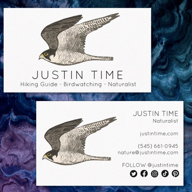 Peregrine Falcon Naturalist Guide Birdwatching Business Card (Creator Uploaded)