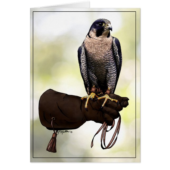 Peregrine Falcon on Glove (Front)
