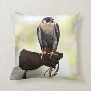 Peregrine Falcon on Glove Cushion