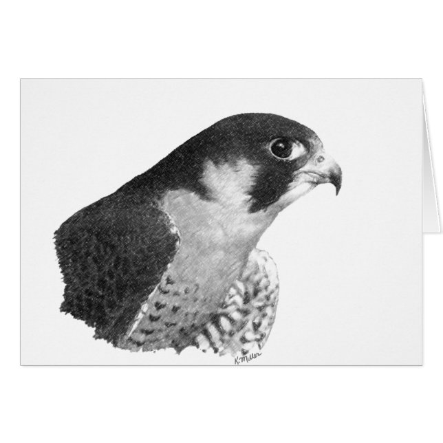 Peregrine Falcon-Pencil (Front Horizontal)