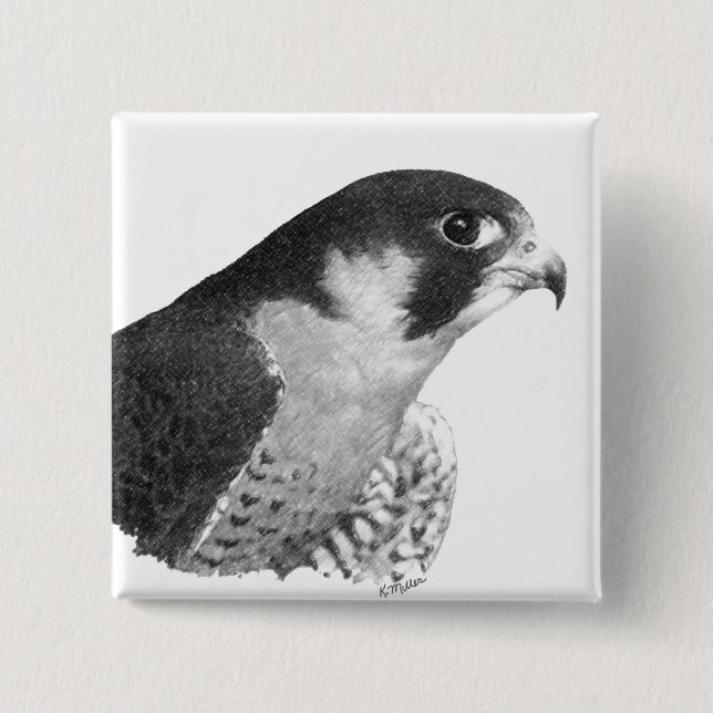 Peregrine Falcon-Pencil 15 Cm Square Badge (Front)