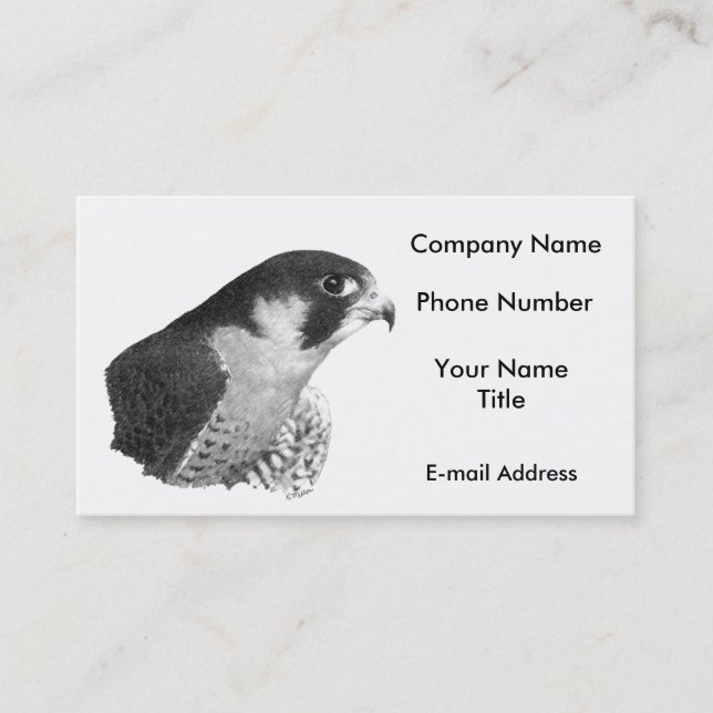 Peregrine Falcon-Pencil Business Card (Front)
