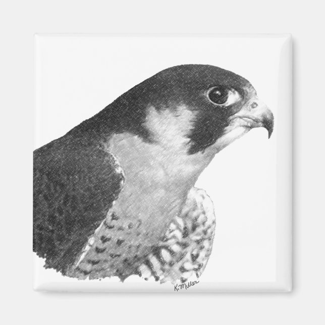 Peregrine Falcon-Pencil Magnet (Front)