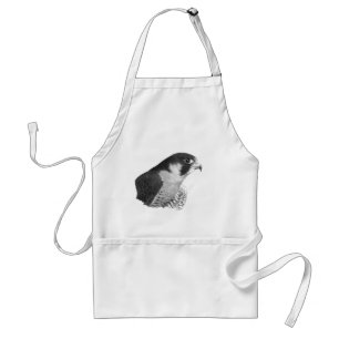 Peregrine Falcon-Pencil Standard Apron