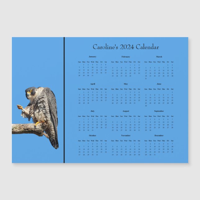 Peregrine Falcon personalise 2024 calendar (Front)