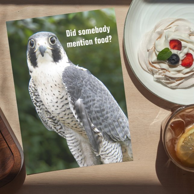 Peregrine Falcon Photo Funny Nature Birthday Card (In Situ)