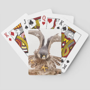 Peregrine Falcon Playing Cards