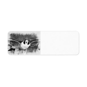 Peregrine Falcon Return Address Label