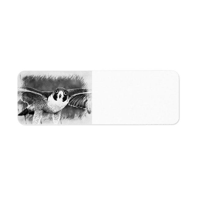 Peregrine Falcon Return Address Label (Front)