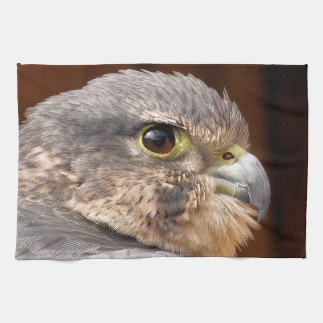 PEREGRINE FALCON TEA TOWEL (Horizontal)