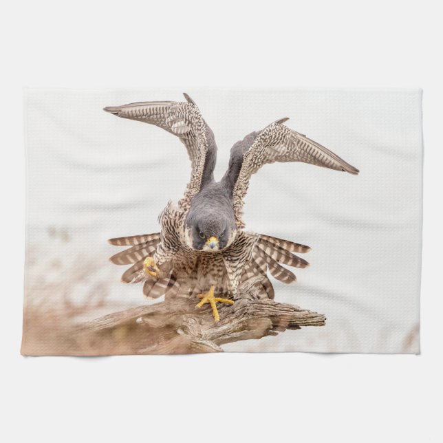 Peregrine Falcon Tea Towel (Horizontal)