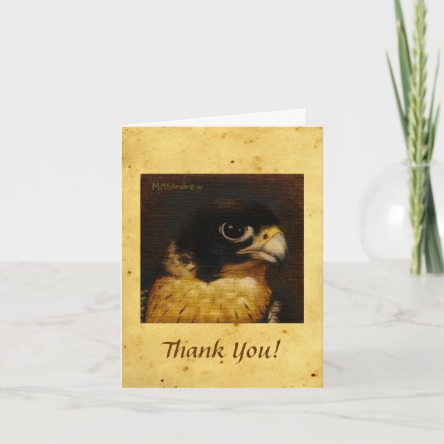 Peregrine Falcon Thank You Note Card (Front)