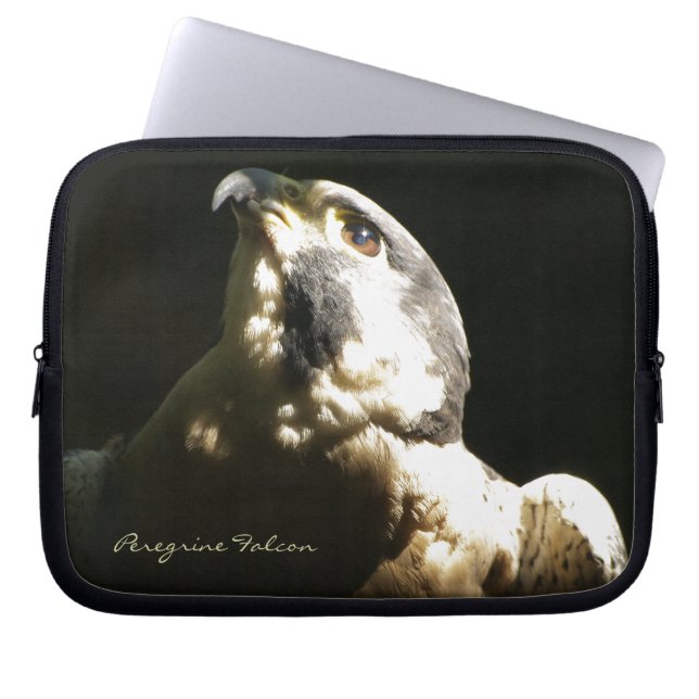 Peregrine Falcon - Wildlife Photo Portrait Laptop Sleeve (Front)