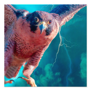 Peregrine Falcon WINGS OF MERCURY Photo Print